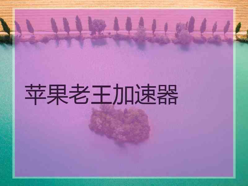 苹果老王加速器