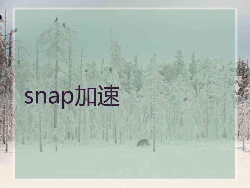 snap加速