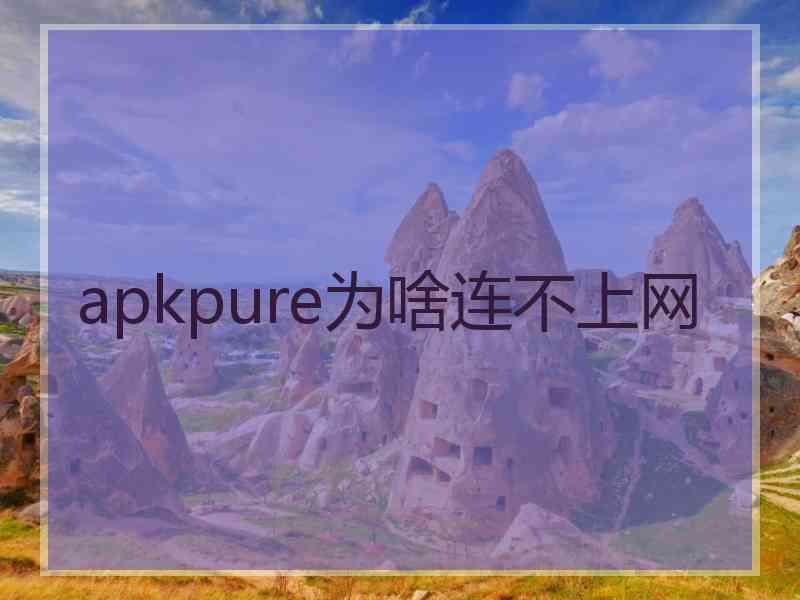 apkpure为啥连不上网