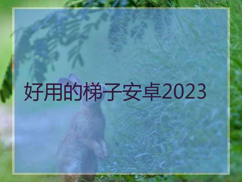 好用的梯子安卓2023