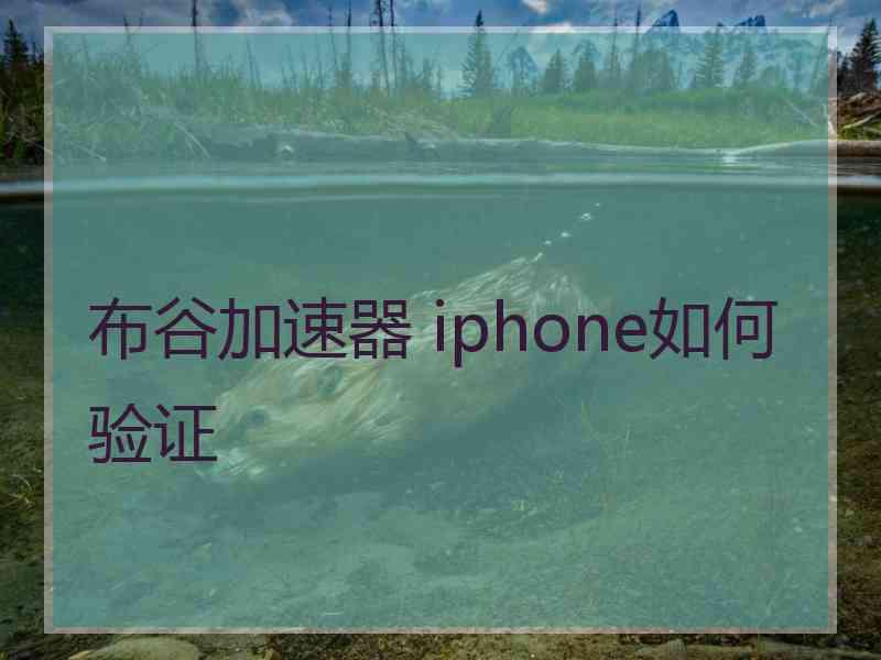 布谷加速器 iphone如何验证