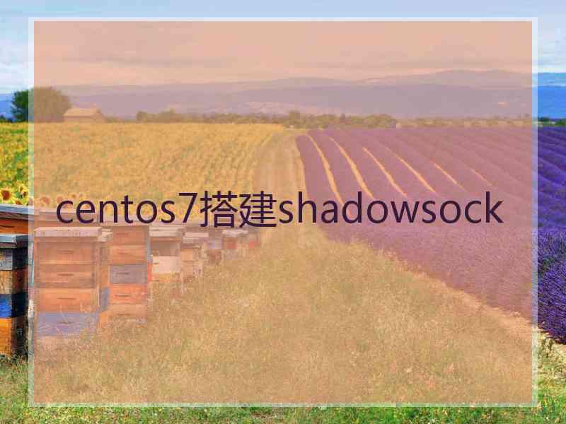 centos7搭建shadowsock