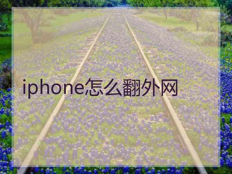 iphone怎么翻外网