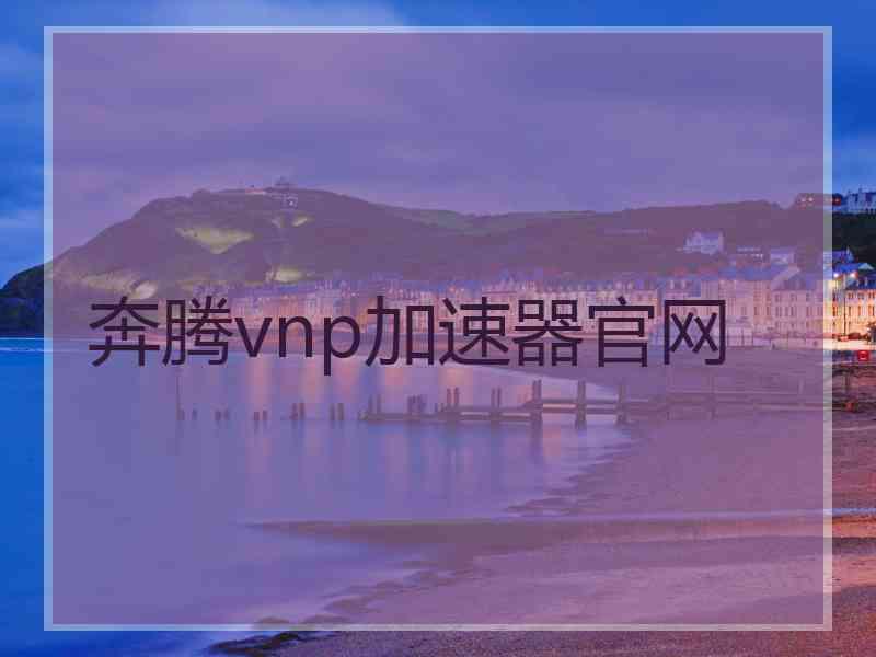 奔腾vnp加速器官网