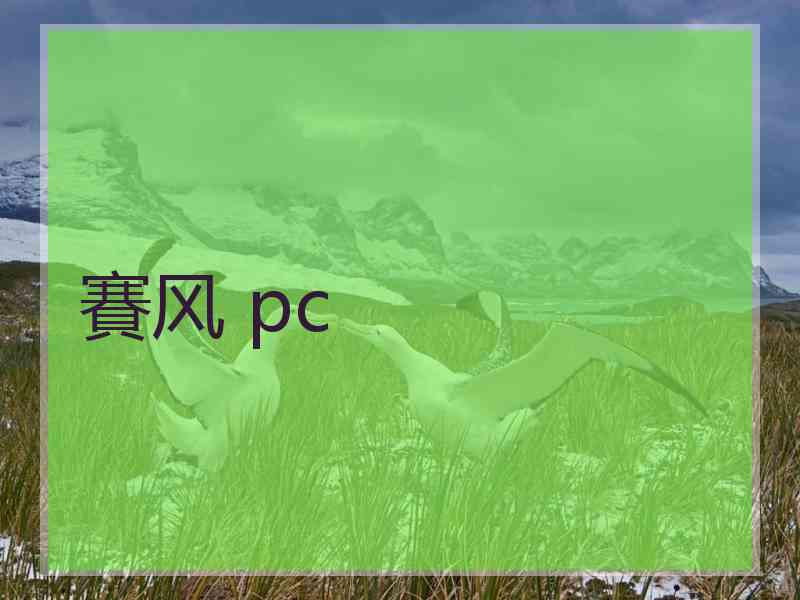 賽风 pc