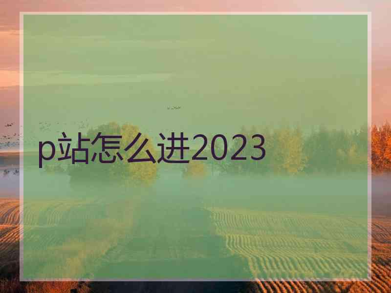 p站怎么进2023