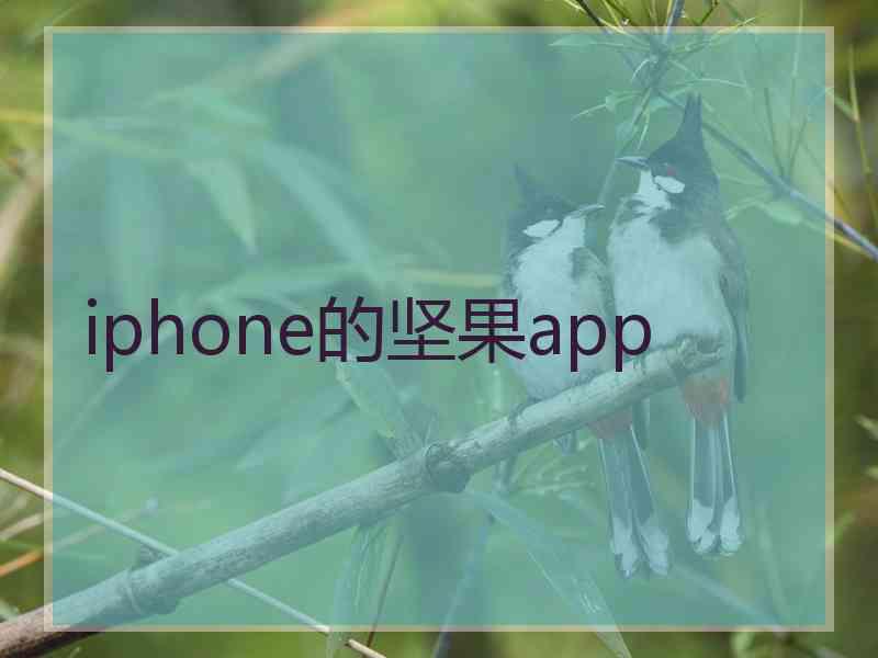 iphone的坚果app