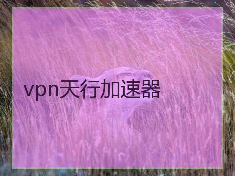 vpn天行加速器