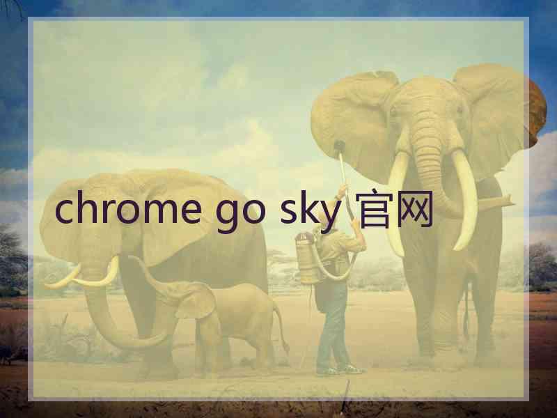 chrome go sky 官网