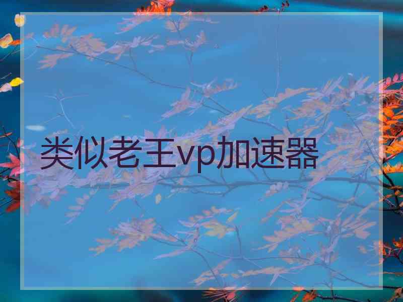 类似老王vp加速器