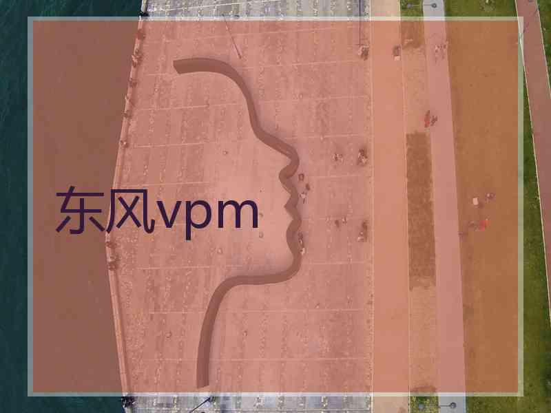 东风vpm