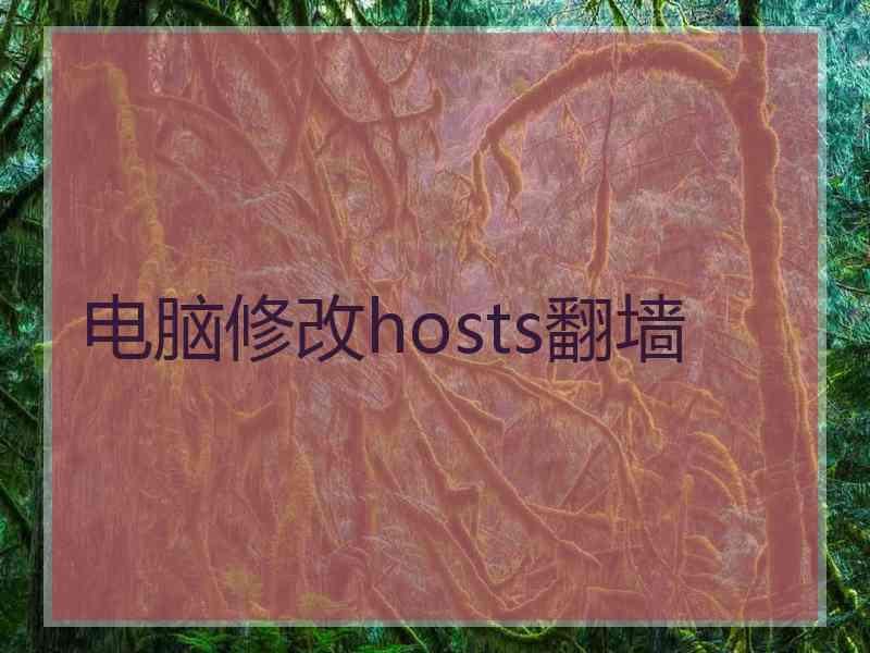 电脑修改hosts翻墙