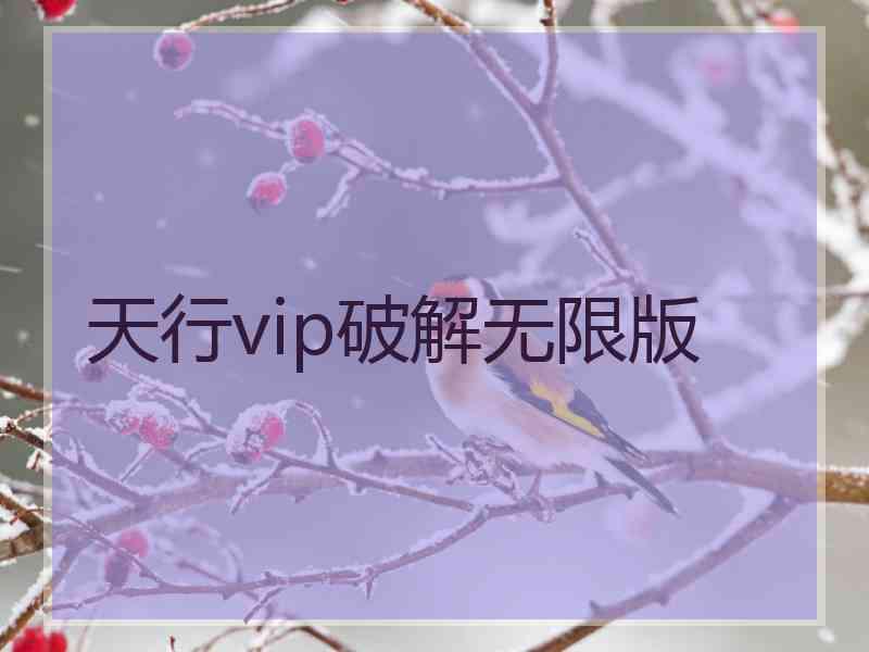 天行vip破解无限版