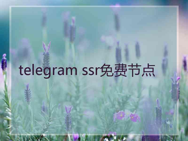 telegram ssr免费节点