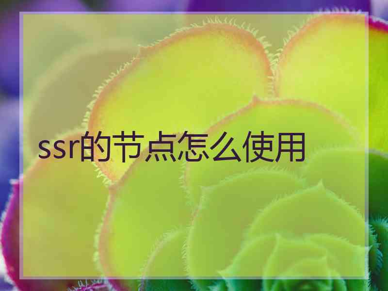 ssr的节点怎么使用