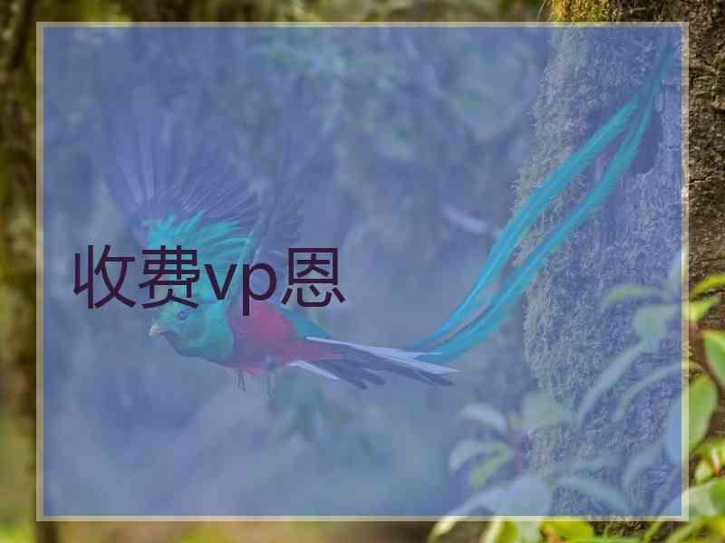 收费vp恩