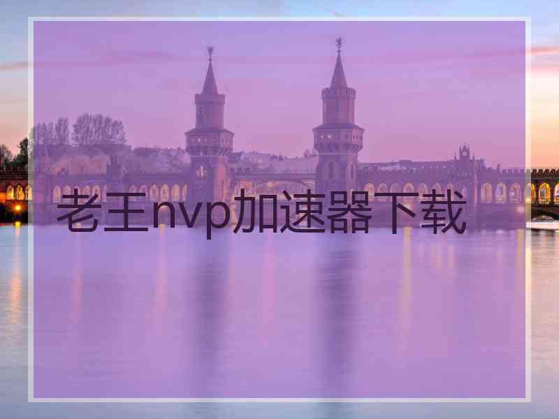 老王nvp加速器下载