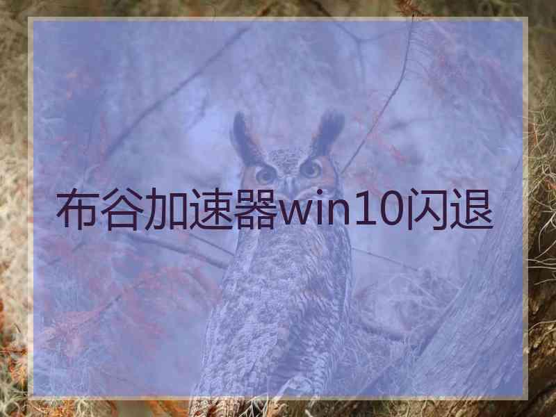 布谷加速器win10闪退