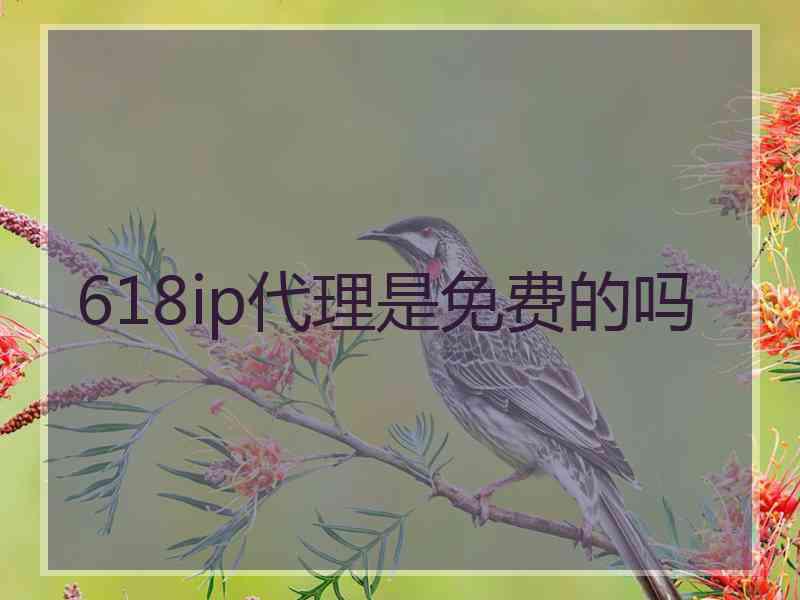 618ip代理是免费的吗