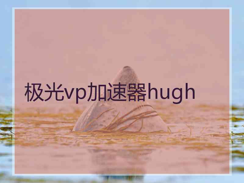 极光vp加速器hugh