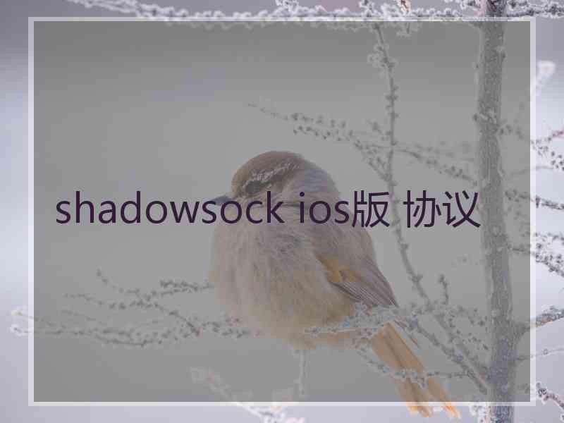 shadowsock ios版 协议