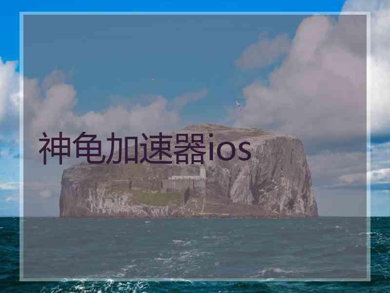 神龟加速器ios