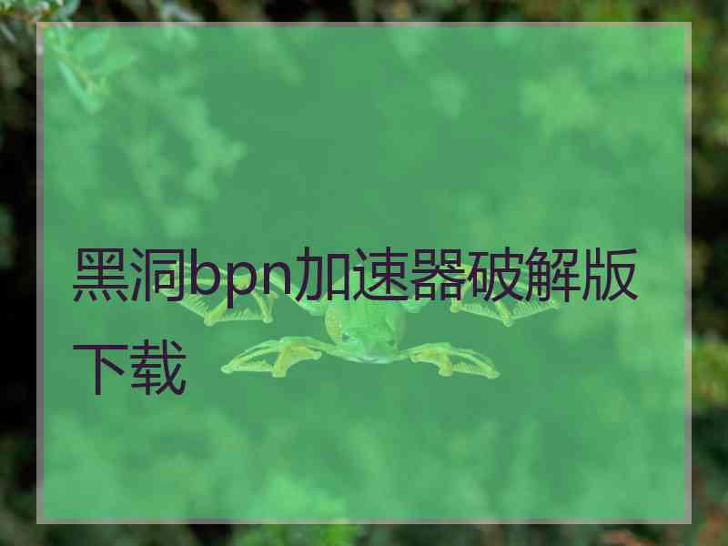 黑洞bpn加速器破解版下载