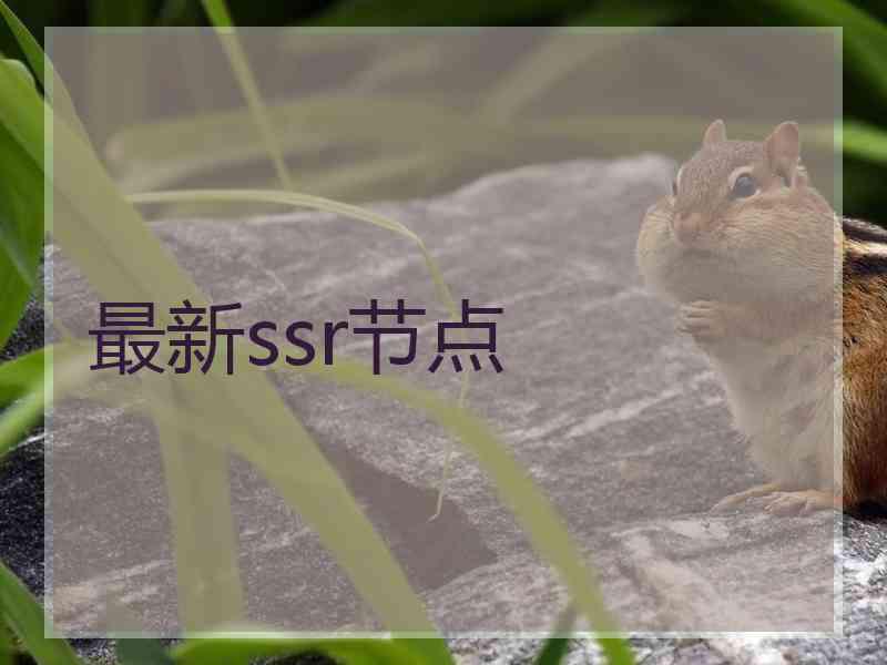 最新ssr节点