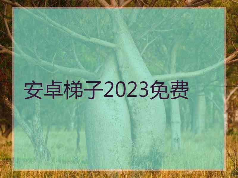 安卓梯子2023免费