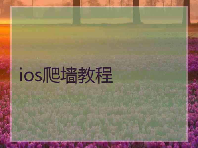 ios爬墙教程