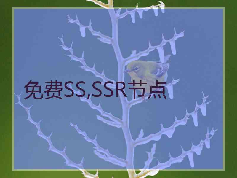 免费SS,SSR节点