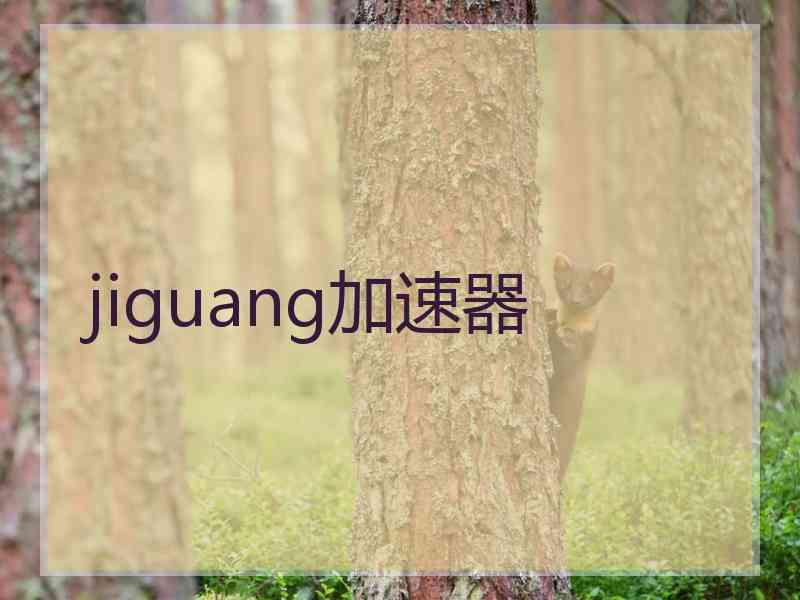 jiguang加速器