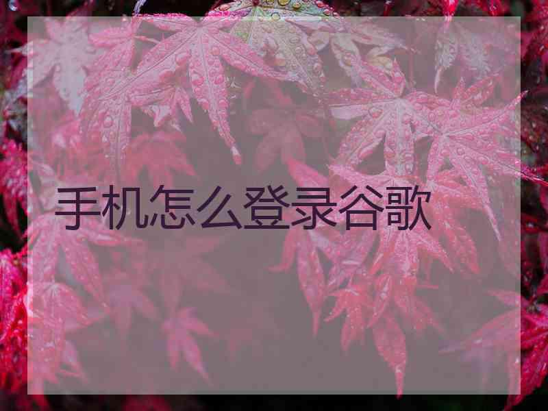 手机怎么登录谷歌