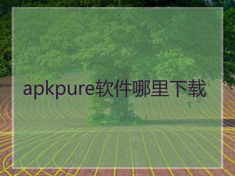 apkpure软件哪里下载