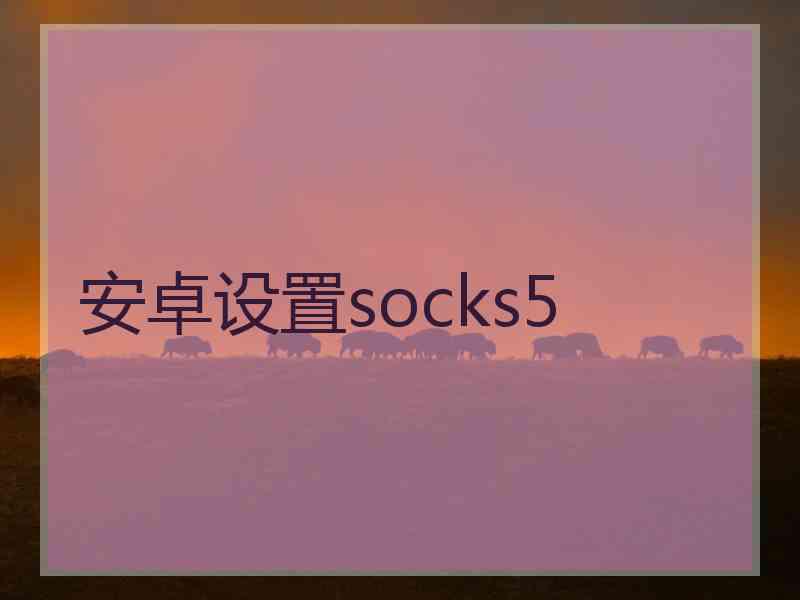 安卓设置socks5