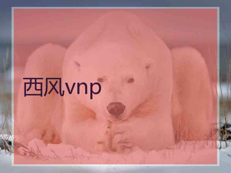 西风vnp