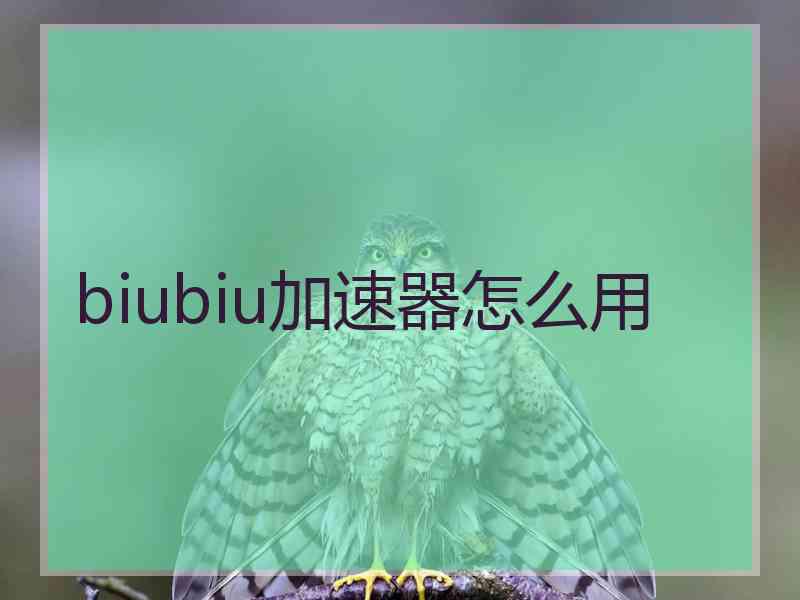 biubiu加速器怎么用