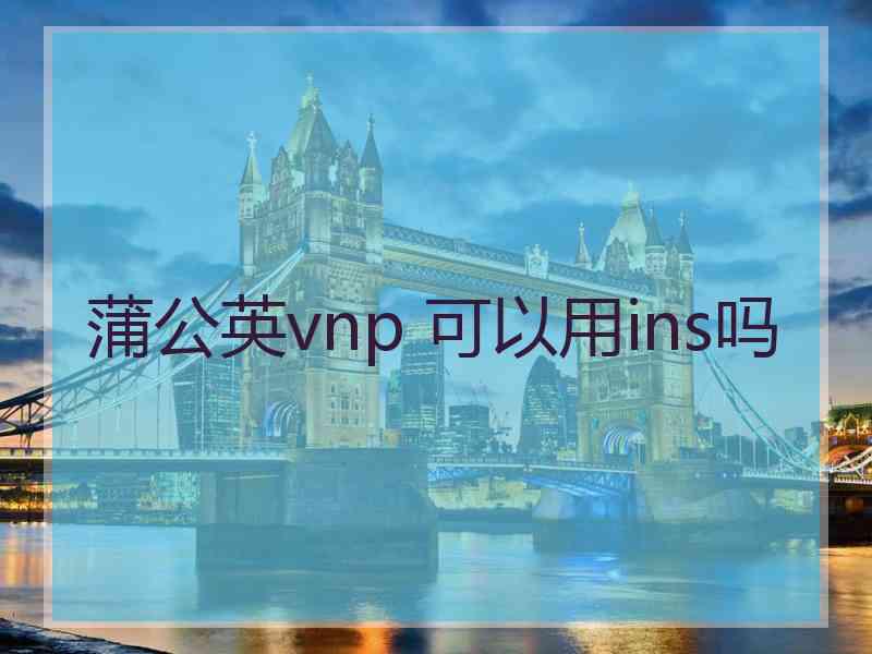 蒲公英vnp 可以用ins吗