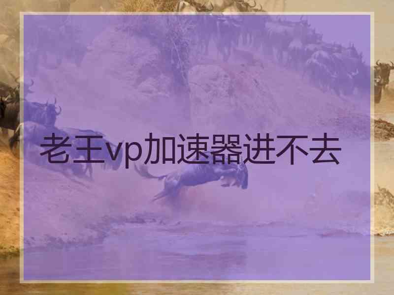 老王vp加速器进不去