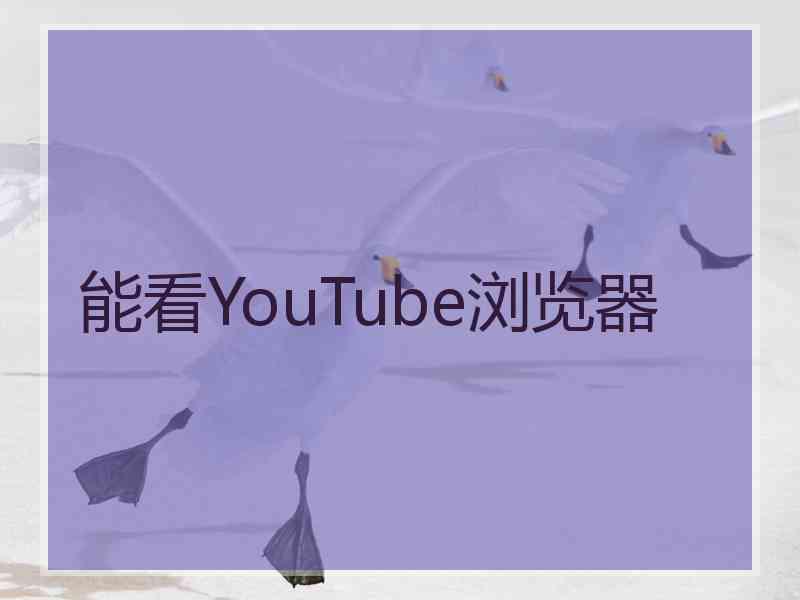 能看YouTube浏览器