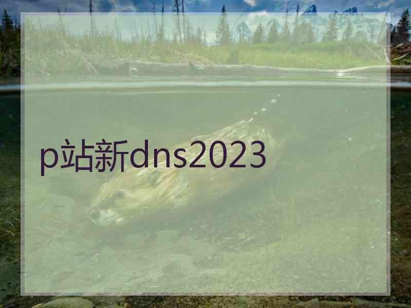 p站新dns2023