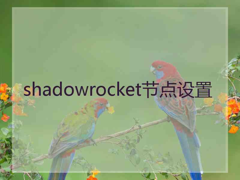 shadowrocket节点设置