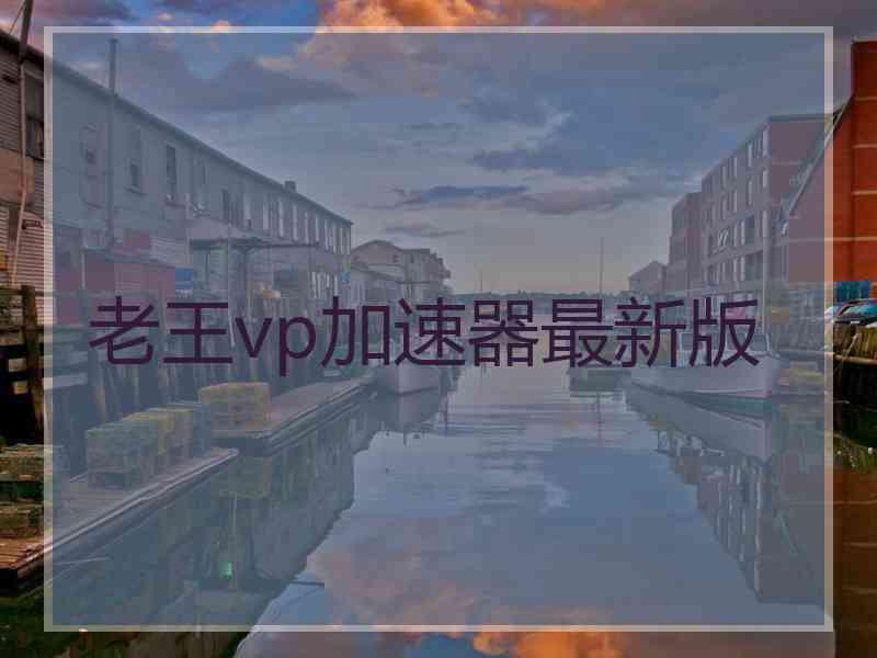 老王vp加速器最新版