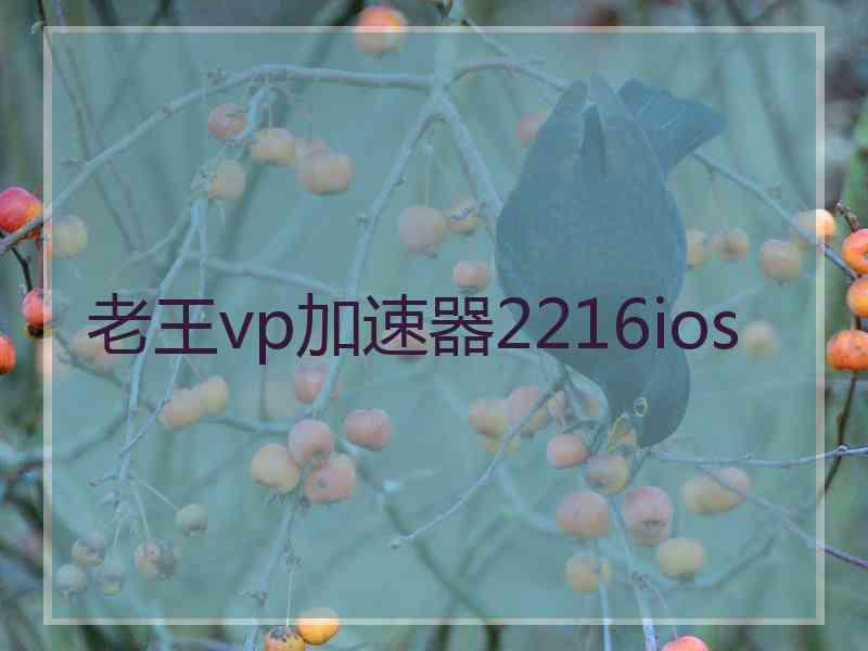 老王vp加速器2216ios