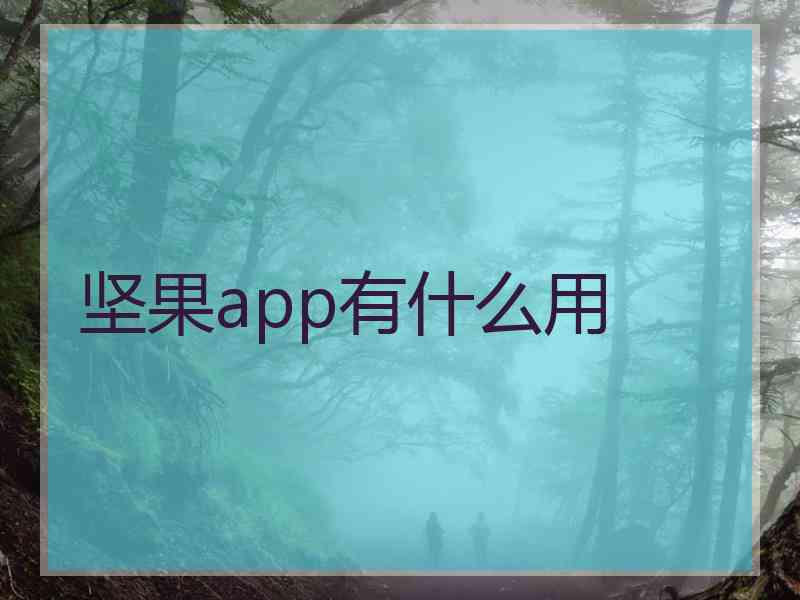 坚果app有什么用