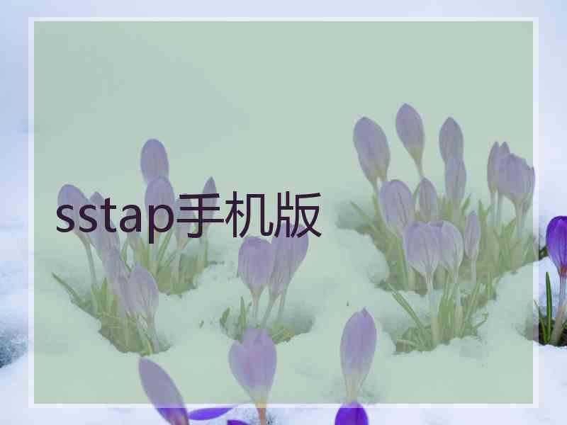 sstap手机版