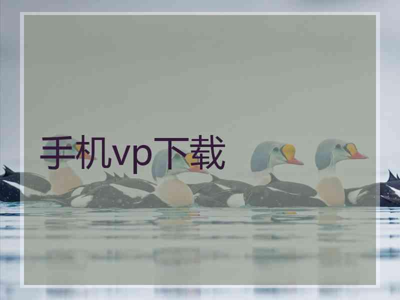 手机vp下载