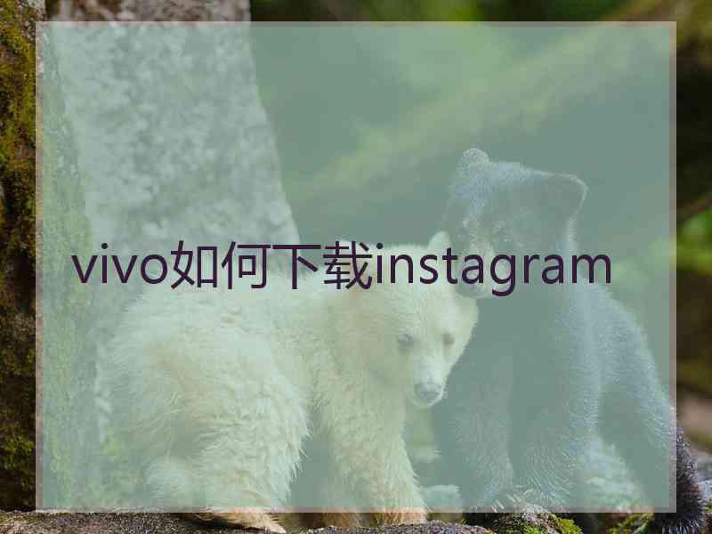 vivo如何下载instagram