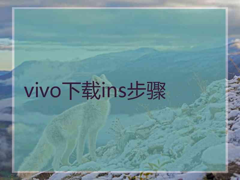 vivo下载ins步骤