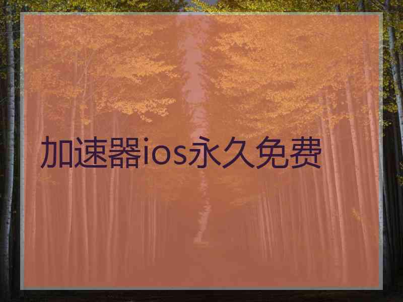 加速器ios永久免费